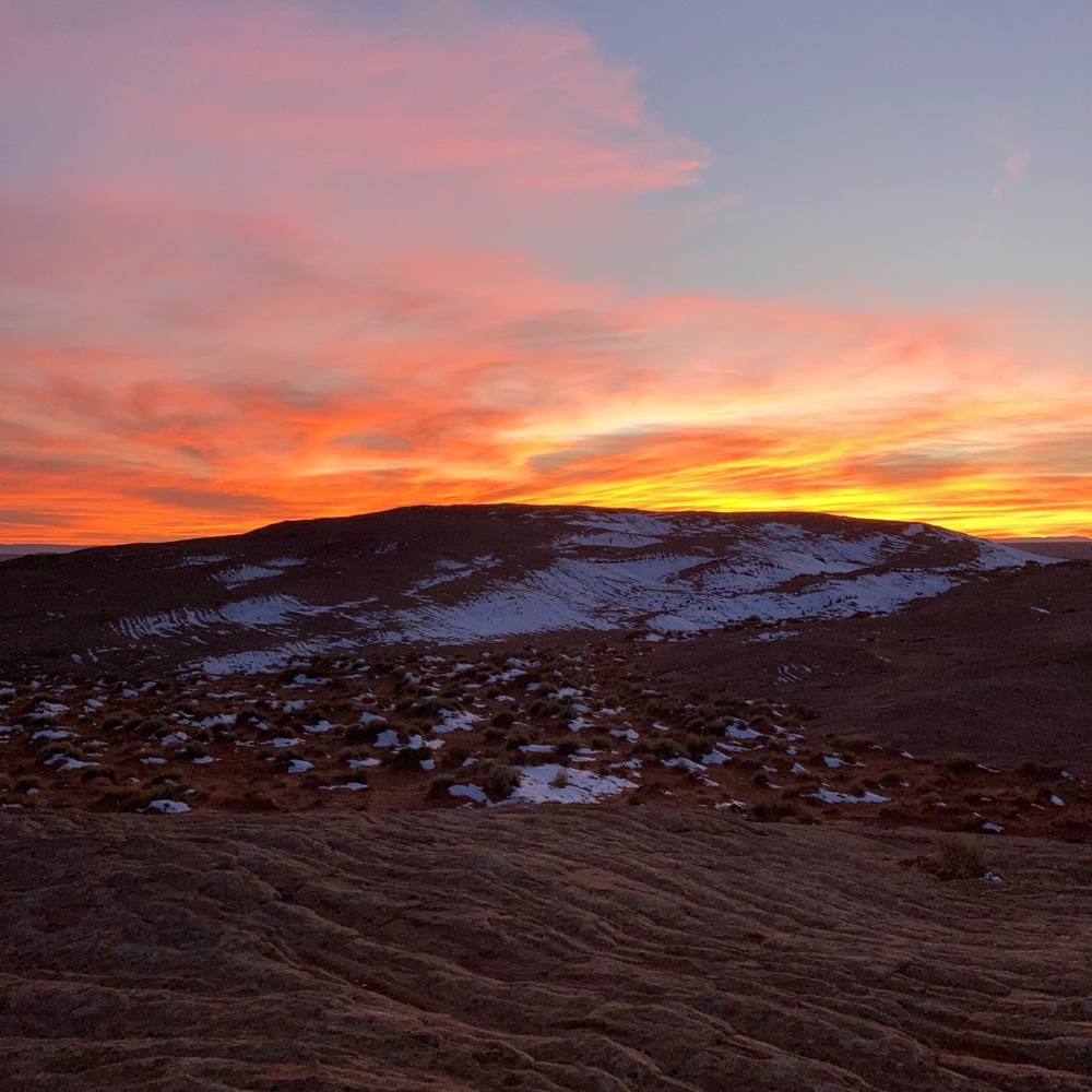 Meet your Posher, Dani